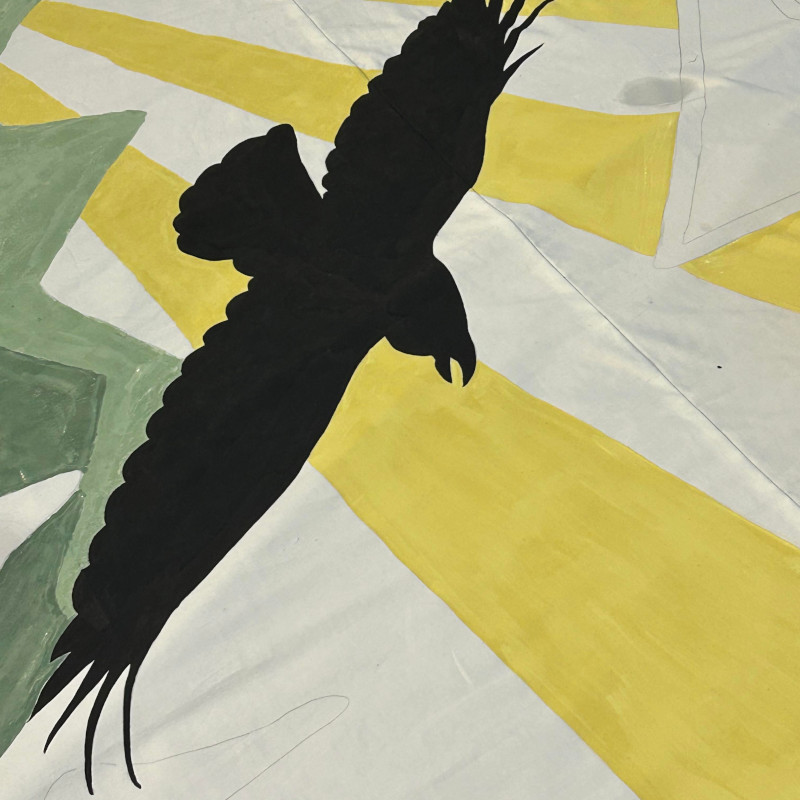 Our First Tifo 27 Crow Day 2